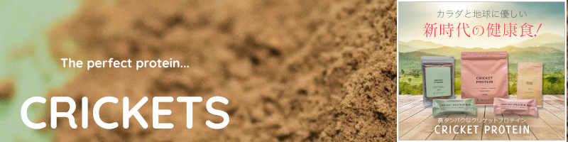 ���b��̍����H�I���{���N���P�b�g�v���e�C���I�yINNOCECT�z���T�C�g